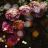 Floral Atmosphere 